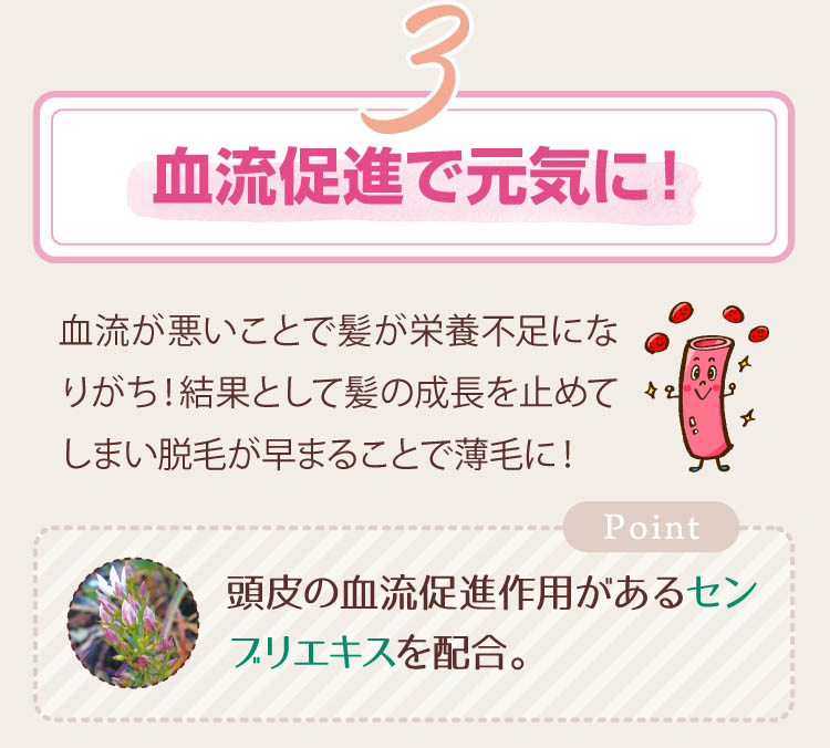 3-血流促進で元気に！頭皮の血流促進作用があるセンブリエキスを配合