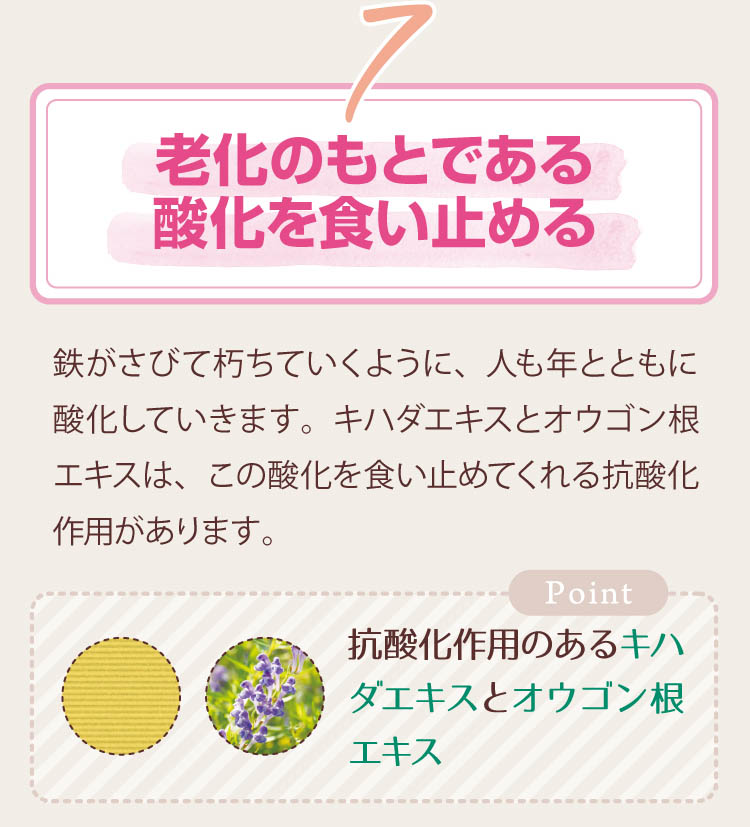 7-老化のもとである参加を食い止める！抗酸化作用のあるキハダエキスとオウゴン根エキスを配合