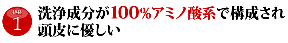 特長1-洗浄成分が100%アミノ酸系で構成され頭皮に優しい