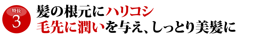 特長3-髪の根元にハリコシ毛先に潤いを与え、しっとり美髪に