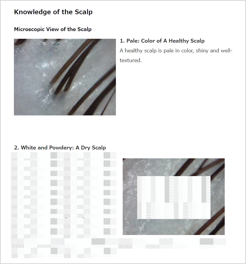 FAQ1