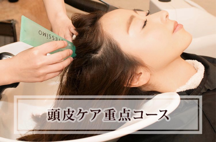 頭皮ケア重点コース